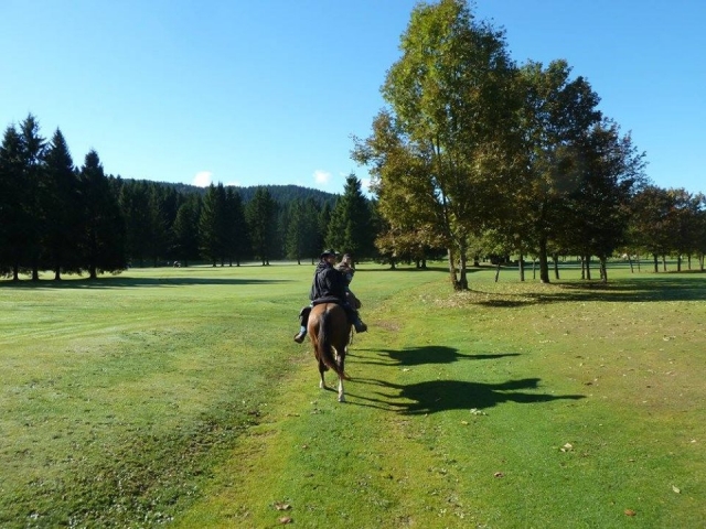  Duranle la camicrema 